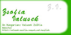 zsofia valusek business card
